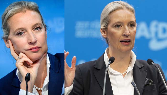 alice weidel ohr prothese